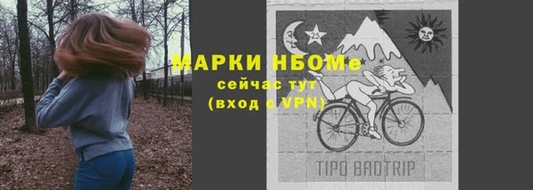 гашик Богородск