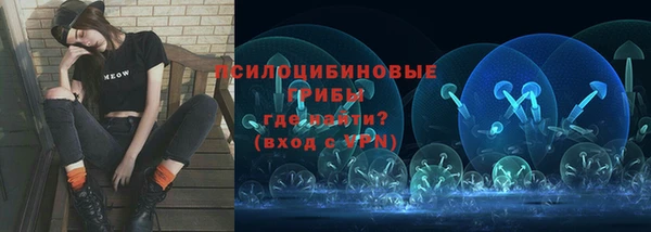 бутират Арсеньев