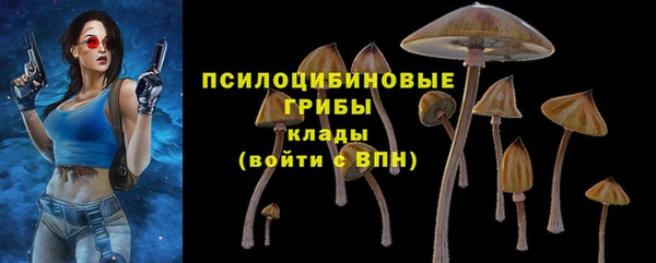 mix Аркадак