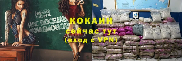 гашик Богородск