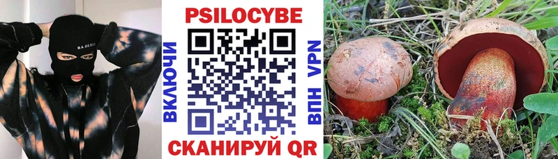 Галлюциногенные грибы Psilocybe  Козьмодемьянск 